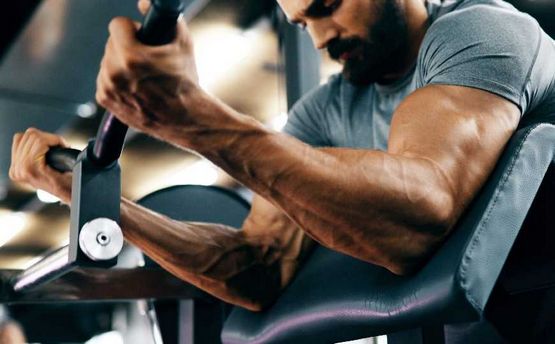 Cursos de esteroides para ganar masa muscular en musculación Cursos de esteroides para ganar masa muscular en musculación